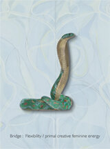 The snake is a symbol that characterizes flexibility, and all its subtexts.