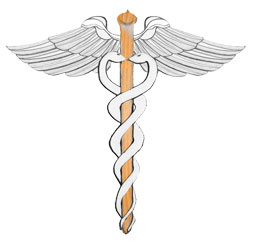 The double or binary Hermetic Caduceus –a binary notion of life