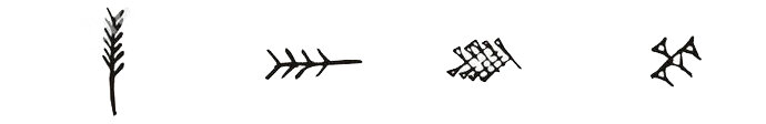 Evolution of a symbol to script (Sumerian for grain)